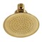Kingston Brass Brass Shower Head, Brushed Brass P10SB - alternate 1